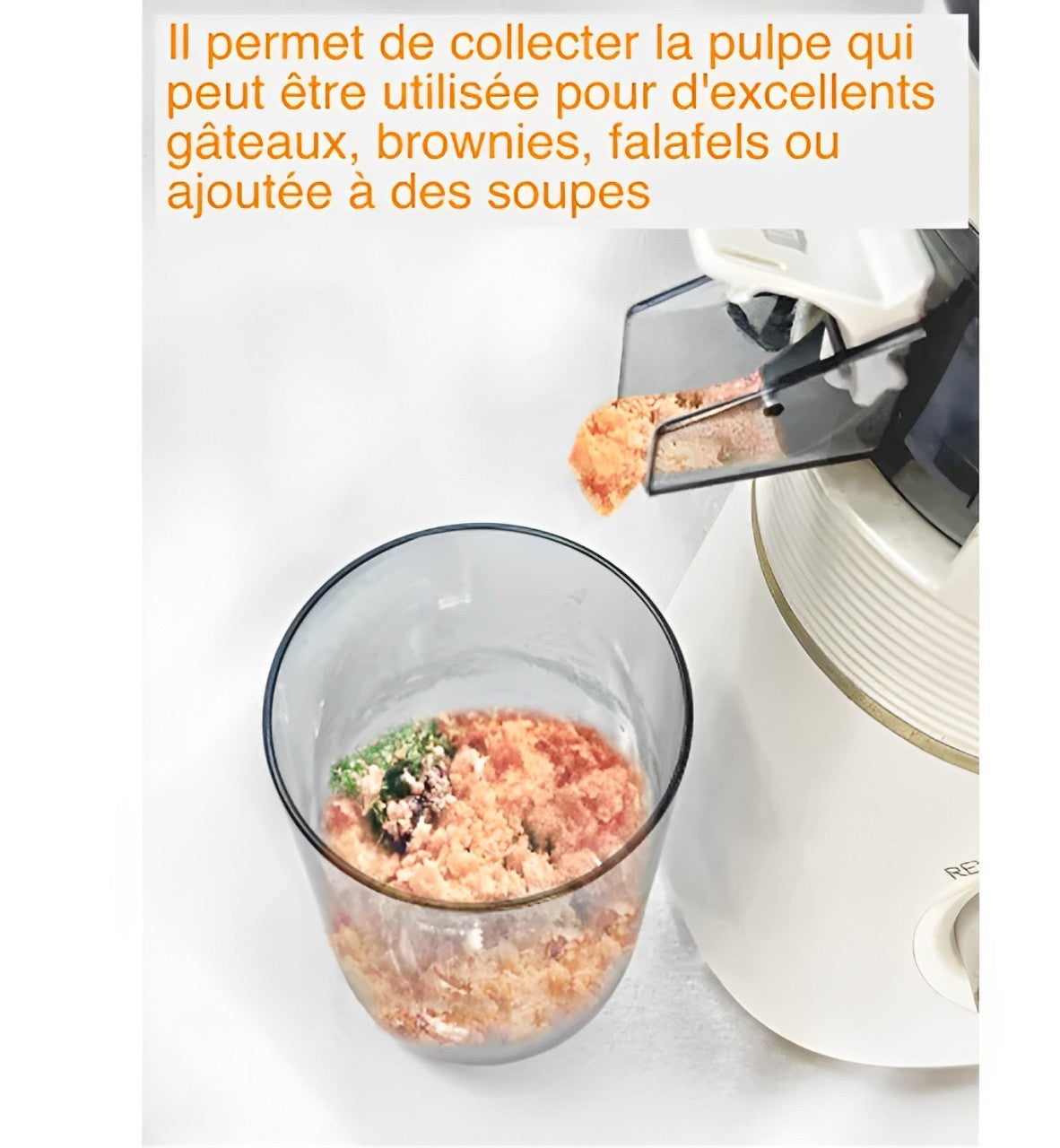 Extracteur de Jus BIO DRINK Robuste