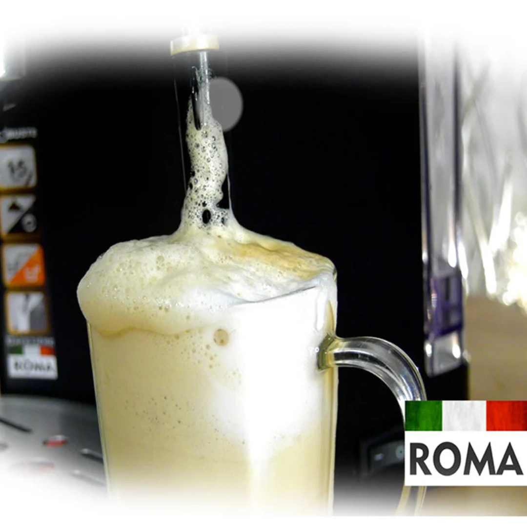 Machine à café a Bras inox 15 bar 1100W 1.2L Café Poudre Robuste Roma